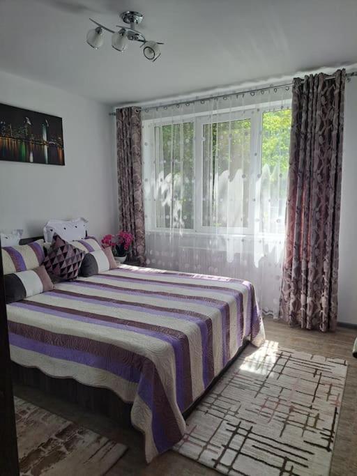Appartement Casuta Cu Povesti à Câmpina Extérieur photo